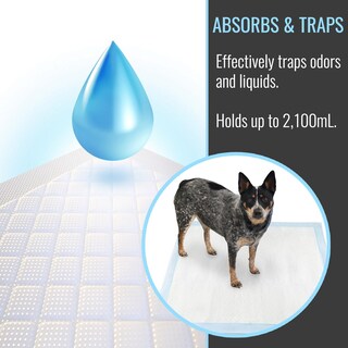 Foto 4 | Foto 4 | Alfombrillas Para Cachorros Dmi Ultra Absorbentes 36x36 Cm Paquete De 50 - Venta Internacional.