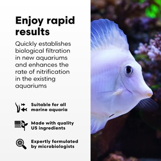 Foto 3 | Foto 3 | Tratamientos De Agua Para Acuarios Brightwell Aquatics Microbacter Start Xlm 4l - Venta Internacional.