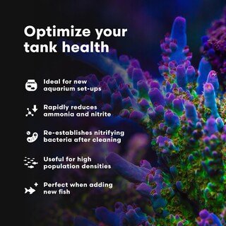 Foto 4 | Foto 4 | Tratamientos De Agua Para Acuarios Brightwell Aquatics Microbacter Start Xlm 4l - Venta Internacional.