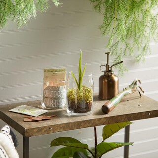 Foto 5 | Foto 5 | Vela Yankee Candle De Flores De Lilas Aromática 385 Ml - Venta Internacional.