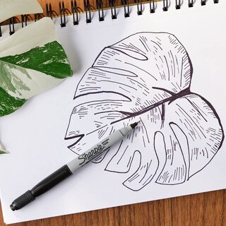 Foto 6 | Foto 6 | Rotulador Sharpie Brush Twin Permanent Negro 12 Unidades - Venta Internacional.