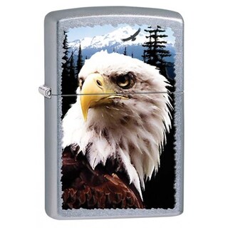 Foto 1 | Foto 1 | Encendedor Zippo Eagle Pocket Street Chrome - Venta Internacional.