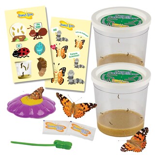 Foto 1 | Foto 1 | Set De Orugas Deluxe Insect Lore Con 10 Oruguitas Vivas Y Pegatinas - Venta Internacional.