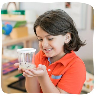 Foto 5 | Foto 5 | Set De Orugas Deluxe Insect Lore Con 10 Oruguitas Vivas Y Pegatinas - Venta Internacional.