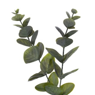 Foto 2 | Foto 2 | Corona Artificial Vickerman De 24'' Con Eucalipto Verde En Espiral - Venta Internacional.