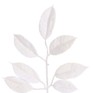 Foto 2 | Foto 2 | Corona Nevada Artificial De Gardenias Blancas Vickerman 24'' - Venta Internacional.