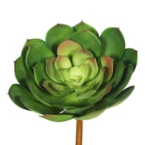 Pack De 3 Suculentas Artificiales Verdes Vickerman Everyday 8'' - Venta Internacional.