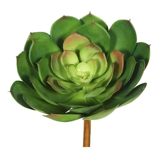 Foto 4 | Foto 4 | Pack De 3 Suculentas Artificiales Verdes Vickerman Everyday 8'' - Venta Internacional.