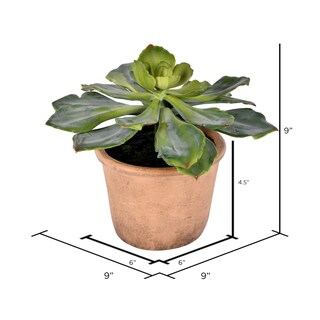 Foto 2 | Foto 2 | Planta Suculenta Artificial Vickerman Everyday 9 Con Maceta De Papel - Venta Internacional.