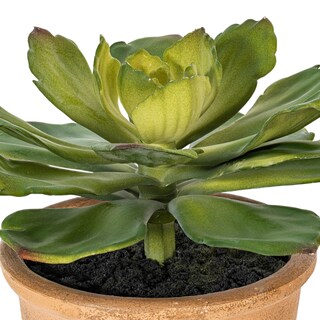 Foto 3 | Foto 3 | Planta Suculenta Artificial Vickerman Everyday 9 Con Maceta De Papel - Venta Internacional.