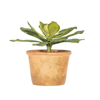 Foto 4 | Foto 4 | Planta Suculenta Artificial Vickerman Everyday 9 Con Maceta De Papel - Venta Internacional.