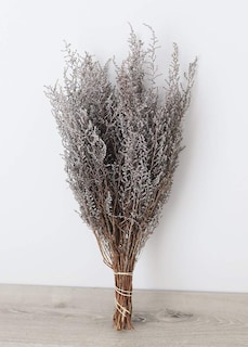 Foto 1 | Foto 1 | Ramito De Stoebe Vickerman Plata Blanca Preservada De 14-18'' - Venta Internacional.