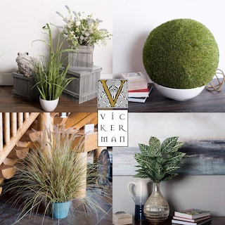 Foto 6 | Foto 6 | Suculentas Artificiales Verdes Variadas En Frasco De Vidrio Vickerman - Venta Internacional.