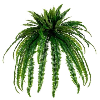 Foto 1 | Foto 1 | Helecho Artificial De Boston Vickerman Ftl251350uv 127 Cm Verde - Venta Internacional.