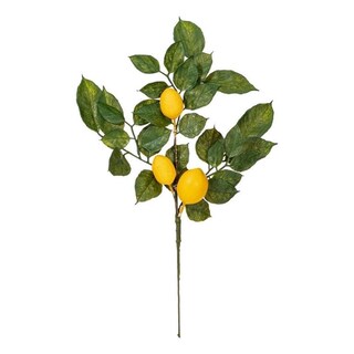 Foto 1 | Foto 1 | Rocíos Artificiales De Limón Vickerman Hojas De Salal Verde/amarillo 20 Cm - Venta Internacional.