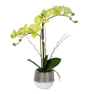 Foto 1 | Foto 1 | Orquídea Phalaenopsis Verde Artificial Vickerman Everyday 49.5 Cm - Venta Internacional.