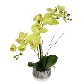 Foto 2 | Foto 2 | Orquídea Phalaenopsis Verde Artificial Vickerman Everyday 49.5 Cm - Venta Internacional.