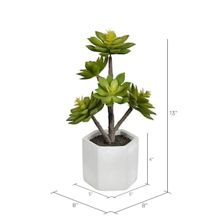 Foto 2 | Foto 2 | Suculenta Artificial Vickerman Everyday 13 Cm En Maceta De Cemento - Venta Internacional.