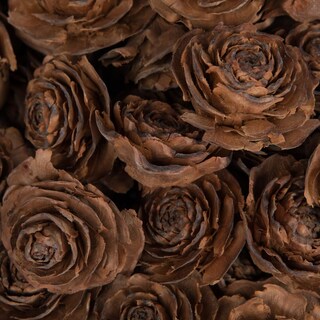 Foto 2 | Foto 2 | Flores Secas Y Preservadas Vickerman Cedro Rosa 100 Unidades - Venta Internacional.