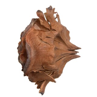 Foto 3 | Foto 3 | Flores Secas Y Preservadas Vickerman Cedro Rosa 100 Unidades - Venta Internacional.