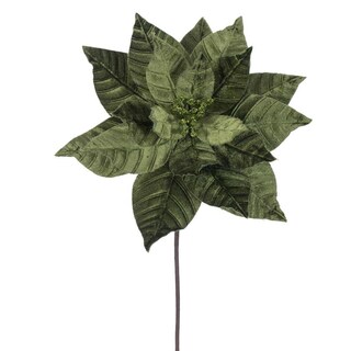 Foto 1 | Foto 1 | Flor Artificial Vickerman Poinsettia Lima 21.5 Cm (paquete De 6) - Venta Internacional.