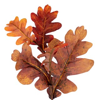 Foto 2 | Foto 2 | Guirnalda Vickerman De Hojas De Roble De Otoño Naranja 1.5 M - Venta Internacional.