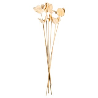 Foto 1 | Foto 1 | Ramo De Vainas De Jacarandá Secas Y Preservadas Vickerman Paquete De 3 - Venta Internacional.