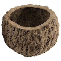 Paquete De 10 Vainas Secas Y Preservadas De Coco Maya Vickerman - Venta Internacional.