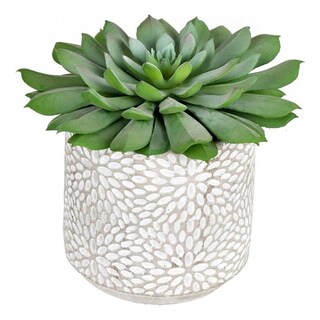 Foto 1 | Foto 1 | Conjunto De 2 Suculentas Artificiales En Maceta Vickerman Color Verde De 15 Cm - Venta Internacional.