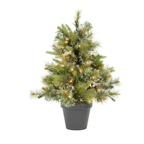 Árbol De Navidad Vickerman 24'' Pino Cashmere Con Luces Led Blancas Cálidas - Venta Internacional.