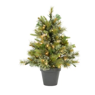 Foto 1 | Foto 1 | Árbol De Navidad Vickerman 24'' Pino Cashmere Con Luces Led Blancas Cálidas - Venta Internacional.