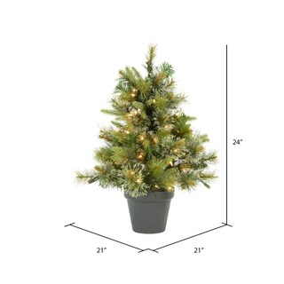 Foto 2 | Foto 2 | Árbol De Navidad Vickerman 24'' Pino Cashmere Con Luces Led Blancas Cálidas - Venta Internacional.