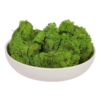 Musgo Reno Verde Vickerman Preservado 1 Kg Por Caja - Venta Internacional.