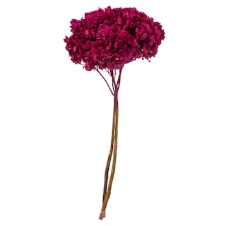 Foto 1 | Foto 1 | Hortensia Preservada Vickerman Merlot De 15 Cm Con Segmentos De Rama - Venta Internacional.