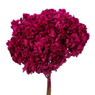 Foto 2 | Foto 2 | Hortensia Preservada Vickerman Merlot De 15 Cm Con Segmentos De Rama - Venta Internacional.