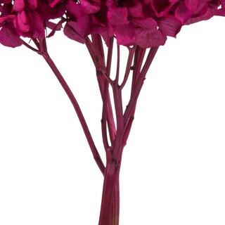 Foto 3 | Foto 3 | Hortensia Preservada Vickerman Merlot De 15 Cm Con Segmentos De Rama - Venta Internacional.