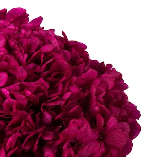 Foto 4 | Foto 4 | Hortensia Preservada Vickerman Merlot De 15 Cm Con Segmentos De Rama - Venta Internacional.