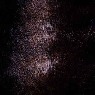 Foto 4 | Foto 4 | Falda Para Árbol De Navidad Vickerman Verde Metálico 213 Cm - Venta Internacional.