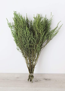 Foto 1 | Foto 1 | Follaje De Piedra Preservado Afloral Oasis Green 150-200 Ml - Venta Internacional.