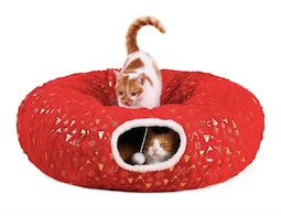 Túnel Plegable Xtellar para Gato