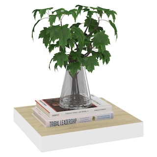 Foto 4 | Foto 4 | Estante Flotante De Pared Casafoyer En Roble/blanco 23x23 5x3 8 Cm Mdf - Venta Internacional.