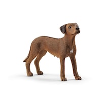 Animal Toy Schleich Farm World Rhodesian Ridgeback Durante Más De 3 Años - Venta Internacional.
