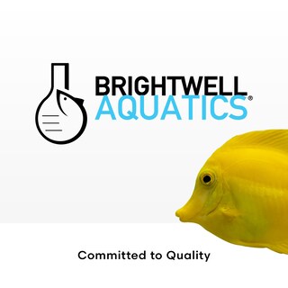 Foto 7 | Foto 7 | Suplemento De Magnesio Brightwell Aquatics Magnesion 4l - Venta Internacional.