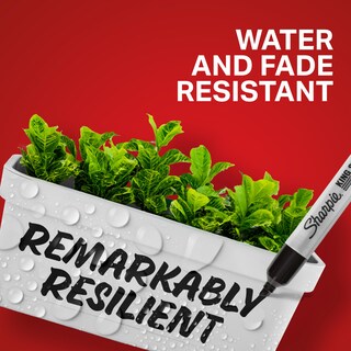 Foto 5 | Foto 5 | Rotuladores Permanentes Sharpie Pro Tamaño King Punta Cincelada 12 Unidades Color Rojo - Venta Internacional.