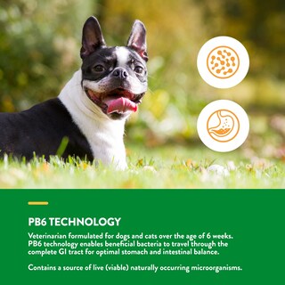 Foto 4 | Foto 4 | Naturvet - Probióticos Y Enzimas Avanzados Para Mascotas - Venta Internacional.