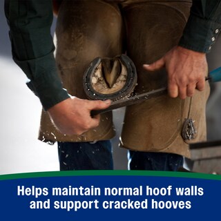 Foto 5 | Foto 5 | Suplemento En Pellets Para Cascos Farnam Horseshoer's Secret 17.2 Kg - Venta Internacional.