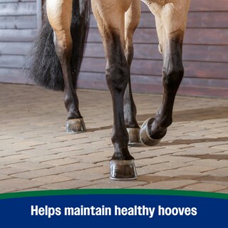 Foto 6 | Foto 6 | Suplemento En Pellets Para Cascos Farnam Horseshoer's Secret 17.2 Kg - Venta Internacional.