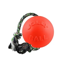 Juguete Para Perro Jolly Pets Romp-n-roll Cuerda Y Pelota 11.4 Cm Pequeña - Venta Internacional.