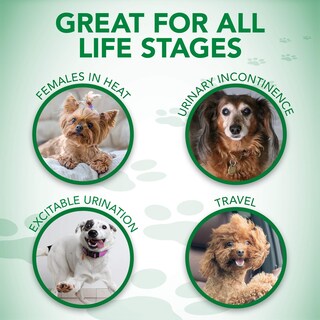 Foto 6 | Foto 6 | Pañales Para Perros Vet's Best Comfort Fit Desechables Para Mujer M 30 - Venta Internacional.