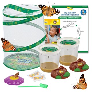 Foto 1 | Foto 1 | Kit De Jardín De Mariposas Insect Lore Con 10 Orugas Vivas - Venta Internacional.